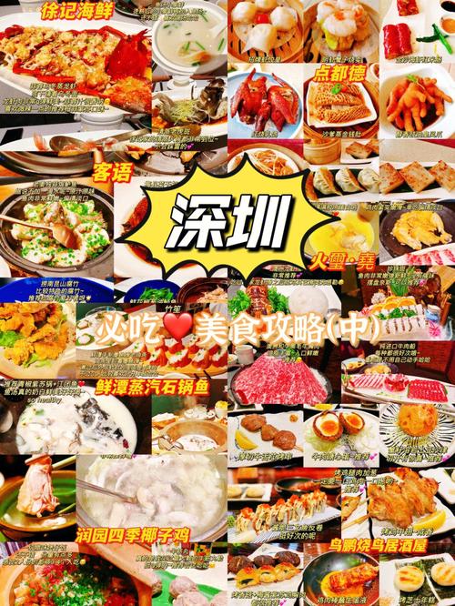 深圳旅行指南：探索都市美景、结交新朋友与品尝地道美食的奇妙体验