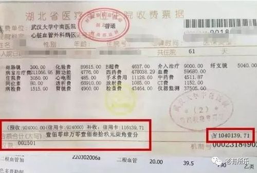 武汉私人导游费用详解：价格区间、影响因素及旺季涨价趋势